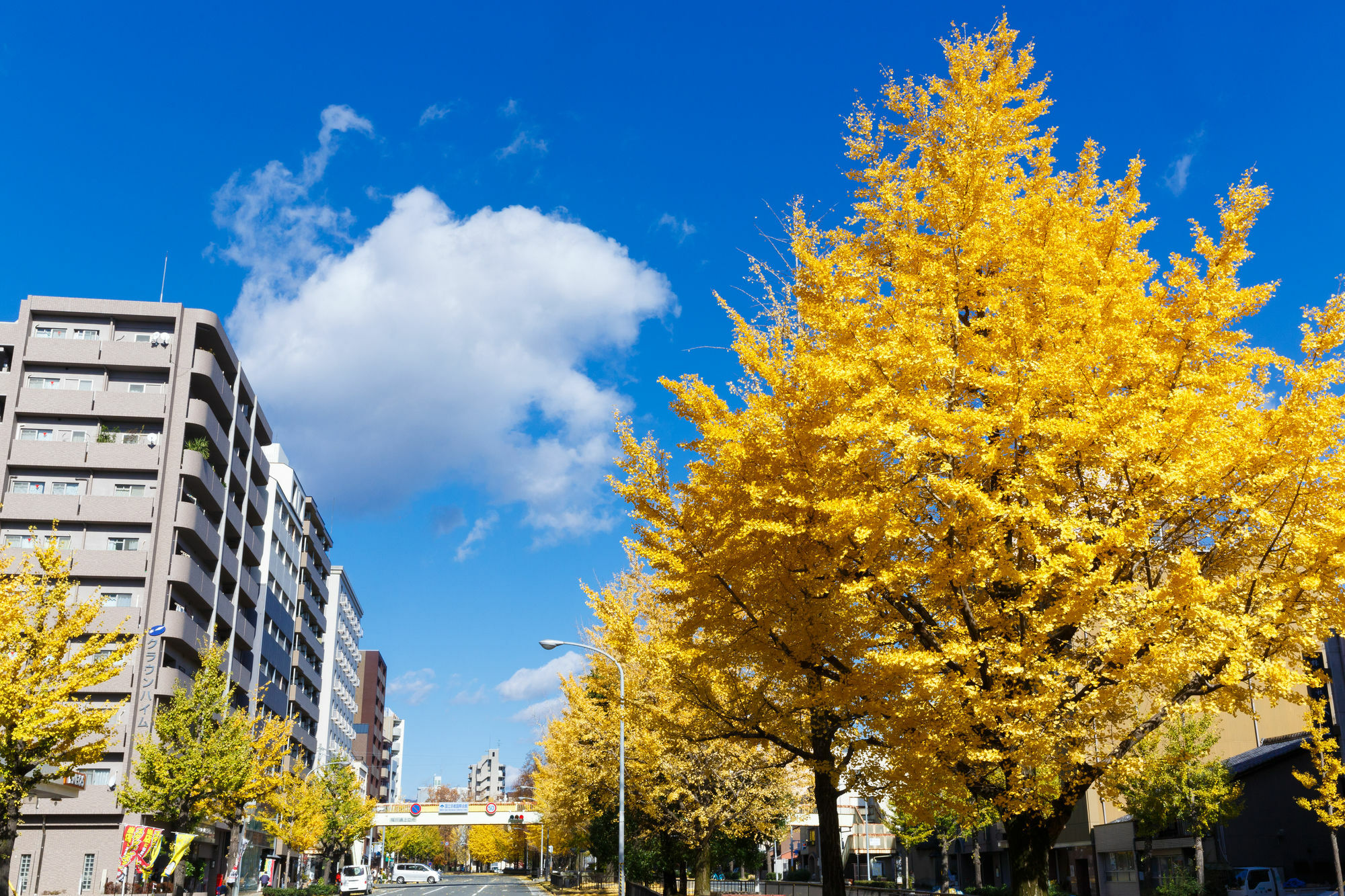 Kyoto City Hotel Eksteriør bilde